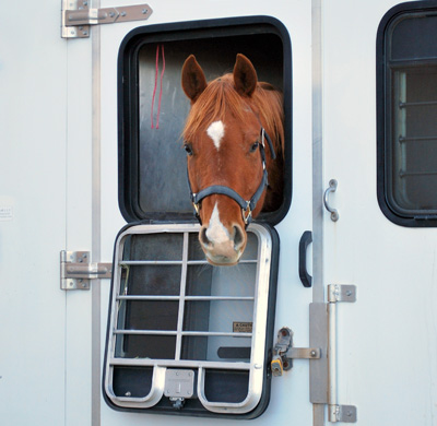 LGhorses location de camions